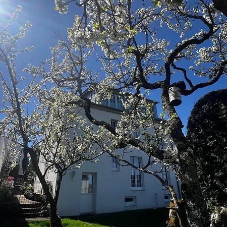 Wohnen Mit Traumhafter Aussicht *